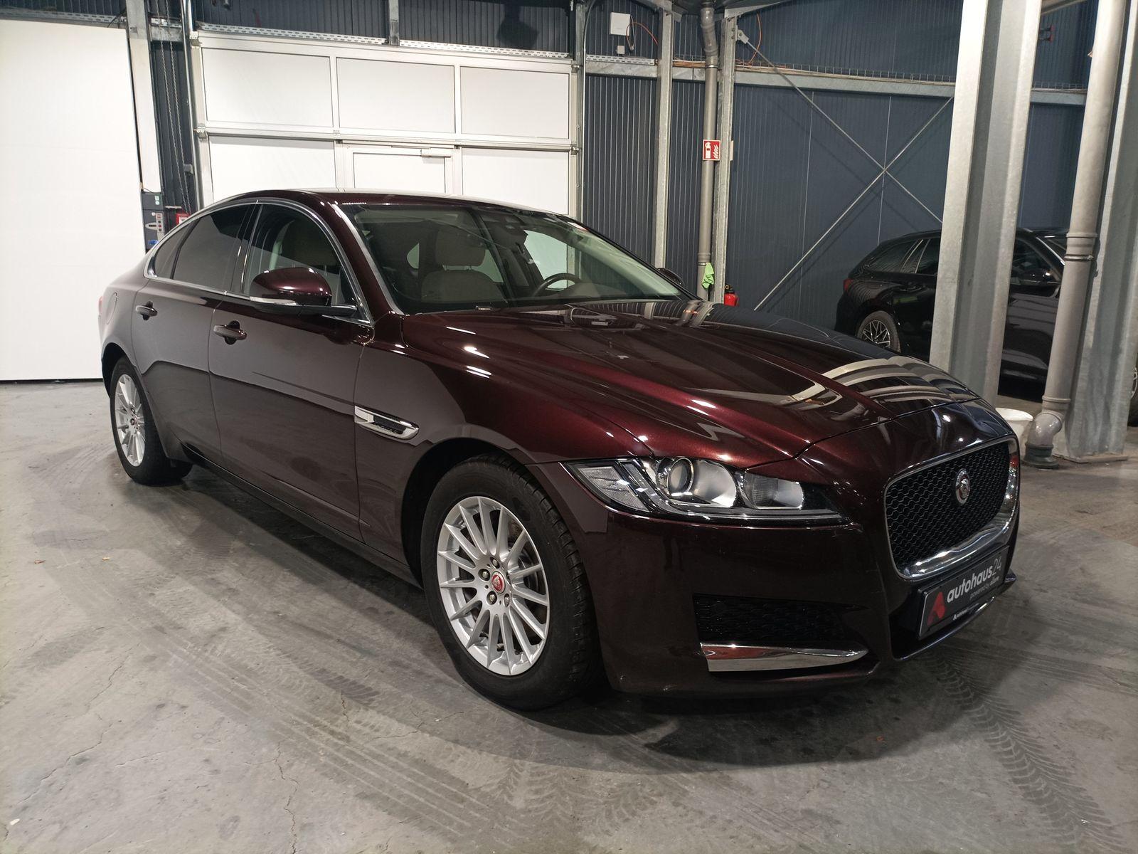 Jaguar XF Limousine JAGUAR XF 20d 180PS Pure Automatik Limousine