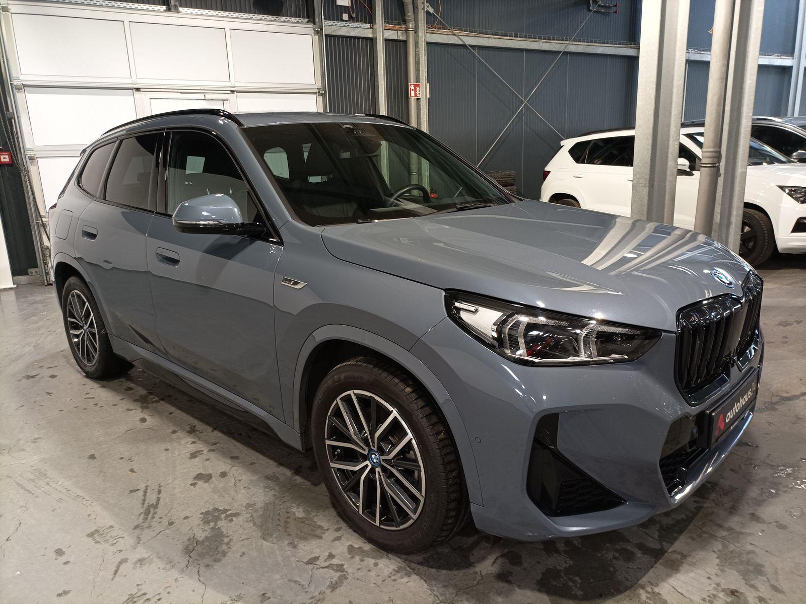 BMW X1 SUV / Crossover / Geländewagen BMW X1 xDrive30e Steptronic Sports Utility Vehicle