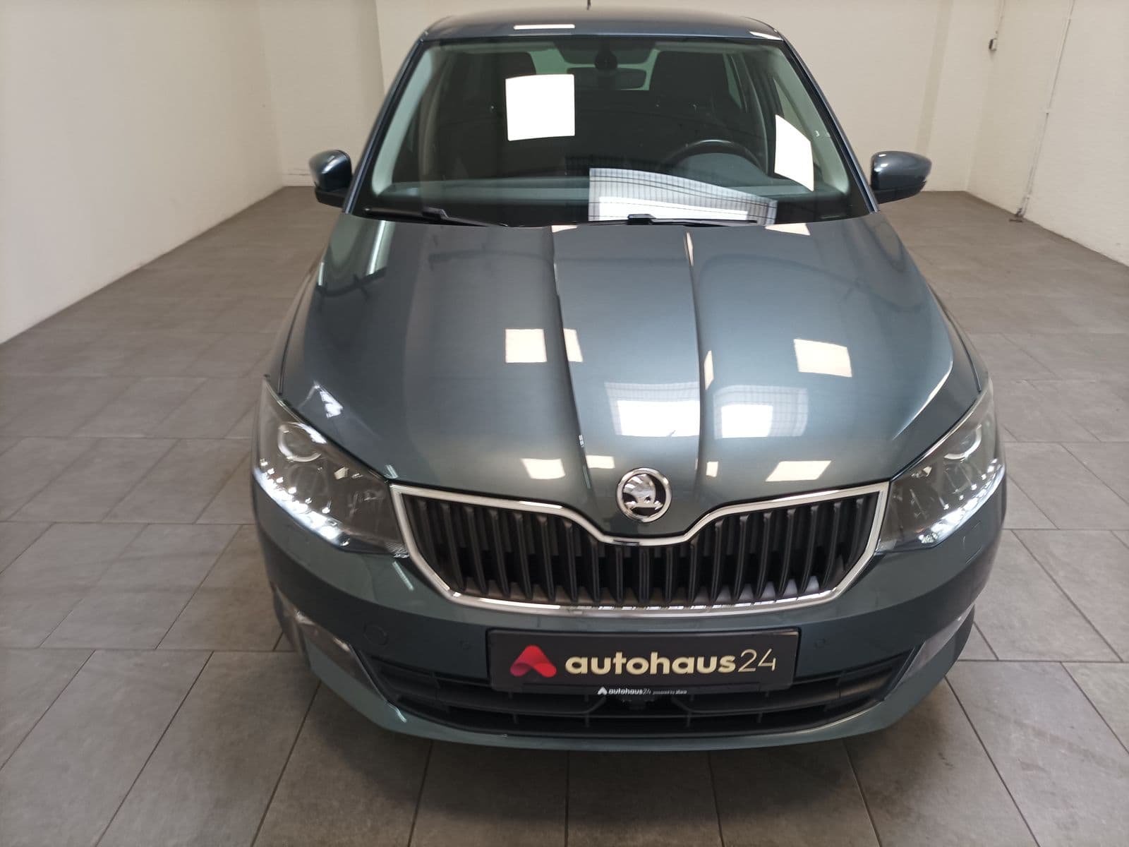 Skoda Fabia Kleinwagen Fabia 1.2 TSI Joy Green tec #2