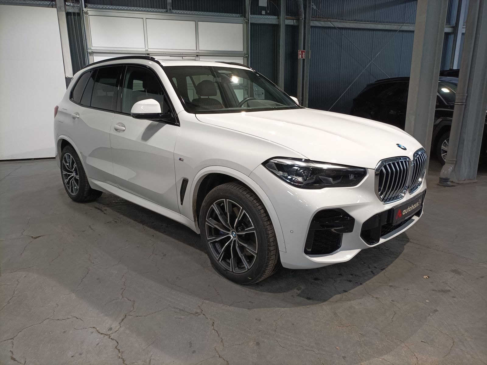 BMW X5 SUV / Crossover / Geländewagen BMW X5 xDrive30d Sports Utility Vehicle #1