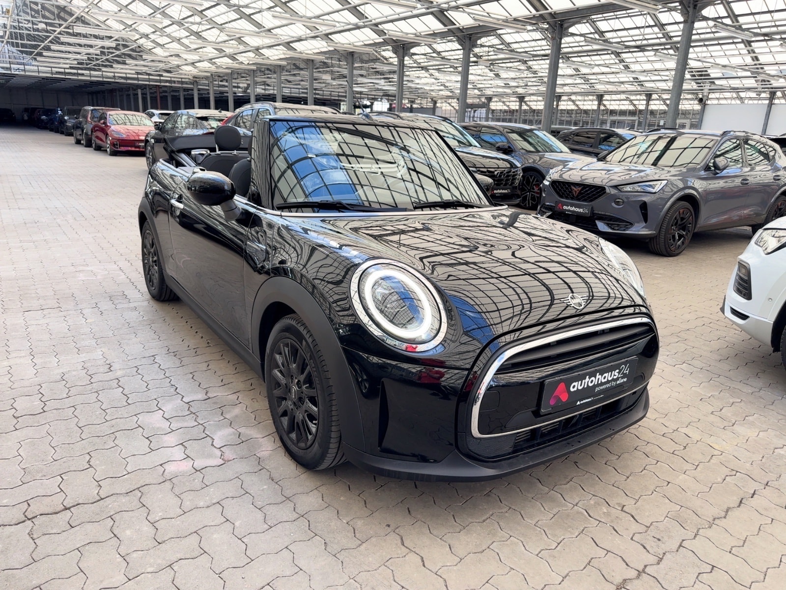 MINI Cabrio Cabriolet Cabrio One Essential Trim (EURO 6d)(OPF) #7